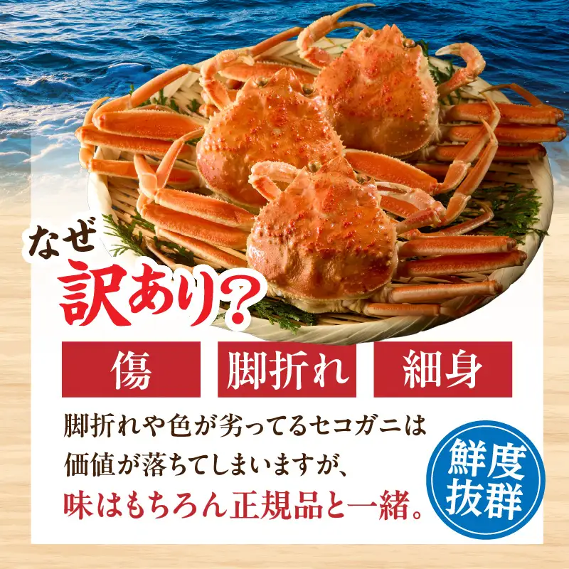 高評価☆4.6【訳あり】 釜茹で セコガニ 姿 約120g×8匹 冷凍 【令和8年11月中旬以降発送予定】 カニ かに 蟹 07-09