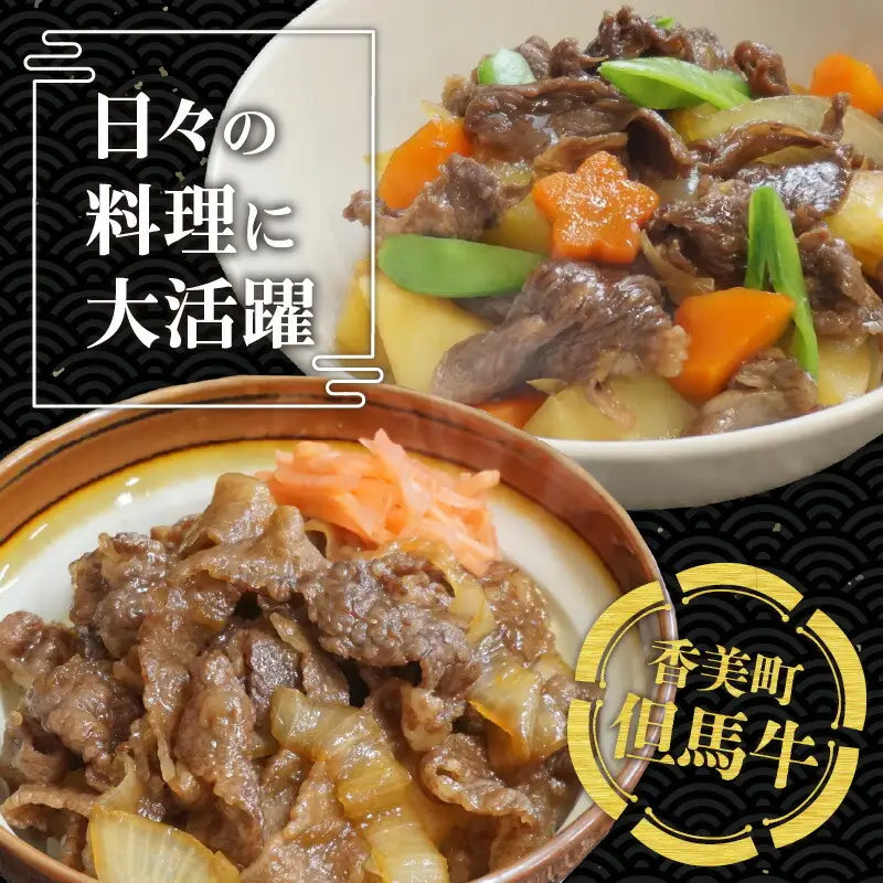 但馬牛 切り落とし 500g 冷凍 牛肉  02-02