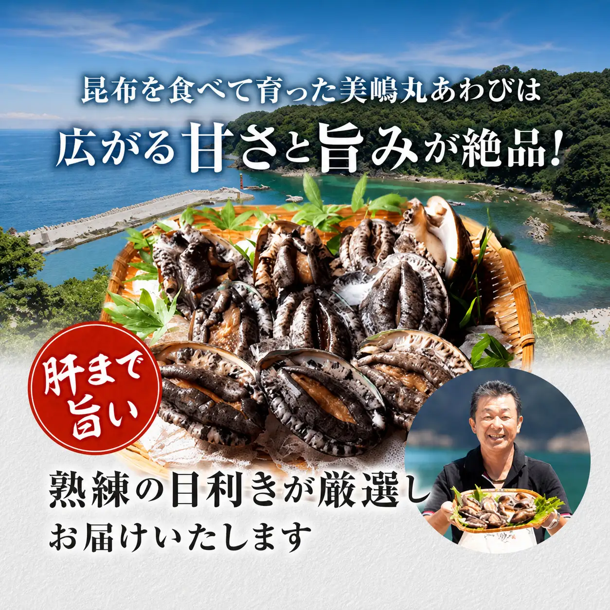 高評価☆4.8 活あわび 9.5cm×4枚 400g～480g (1個100～120g） あわび アワビ 20-03
