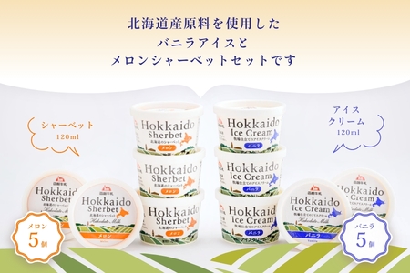 函館牛乳アイス ＆ シャーベットセットA 120ml 10個セット アイス バニラアイス アイスクリーム 氷菓 メロン シャーベット デザート 洋菓子 詰め合わせ 北海道産 生クリーム 濃厚 牛乳 新鮮 函館 送料無料 お取り寄せスイーツ_HD013-028