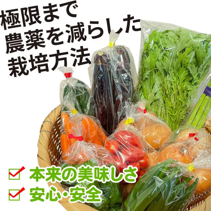 【12回定期便】野菜定期便 7?10品目 / ながさき南部 [SBW005] 