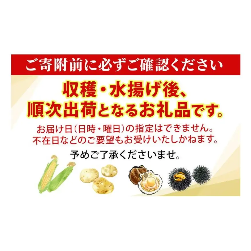 桃太郎トマト 北海道 高橋農園 大玉 桃太郎トマト【4kg以上 18〜24玉】