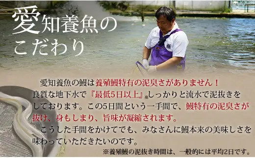 三河産 うなぎ蒲焼《超特大》2尾（400～420g）・A090-15-1