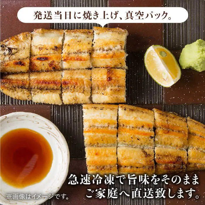 ふっくらジューシーのこだわりうなぎ【6回定期便】国産うなぎ蒲焼 6枚セット×6回 [FAD015]