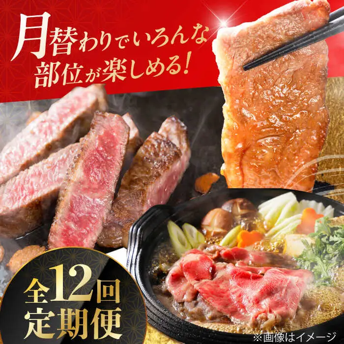 【全12回定期便】A4 A5 豪華 佐賀牛 ゴールドコース 総量15.2kg [FAY040]