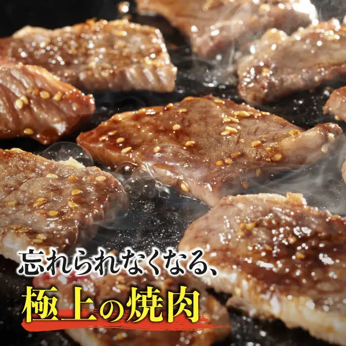 佐賀牛希少部位 おまかせ9種堪能セット1800g 合計1.8kg （9種×200g）焼肉 セット [FAY042]