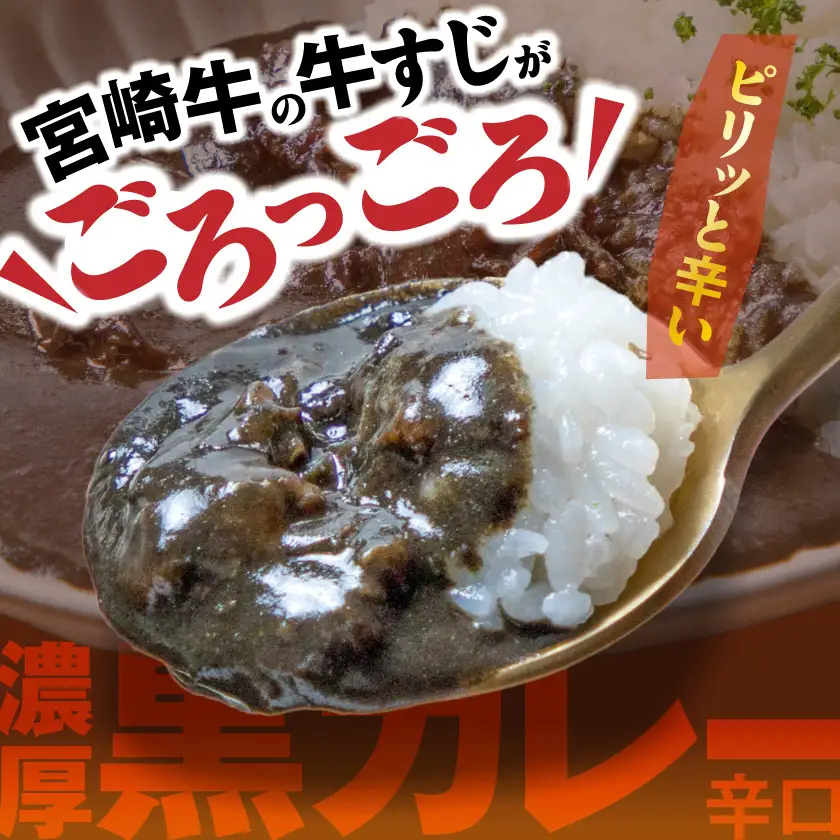 宮崎牛すじ濃厚黒カレー(辛口)4パック〔LG-2601〕_(都城市) 湯煎調理 レトルト食品 レトルトカレー  牛スジ 黒カレー 辛口 200g×4パック 大人向け 常温保存可能
