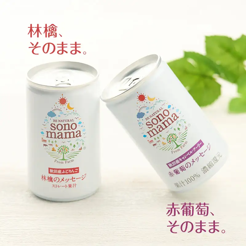 ジュースセット sonomamaりんご赤ぶどう ジュースセット【160g×10本】