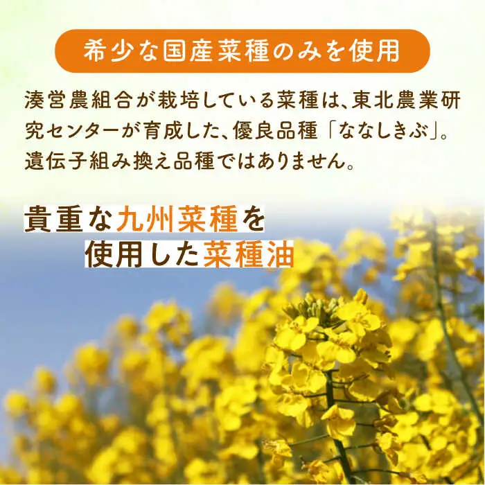菜の花 ボディーソープ 「菜々花」 詰替用 2袋 [ABAQ008]