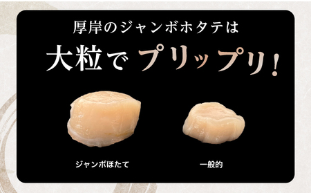 ジャンボホタテ貝柱 500g (12玉前後) 北海道 帆立 ほたて 玉冷 ホタテ