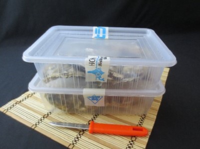 レンジで楽チン 蒸し牡蠣（2パックセット） 北海道 牡蠣 カキ かき 生食 生食用 生牡蠣 殻付  レンジ調理 魚貝類 シーフード マルえもん
