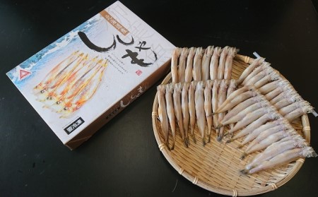北海道産干しししゃも メス 40尾 干物  ししゃも