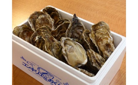 道の駅 コンキリエ 殻牡蠣食べ放題・牡蠣剥き体験チケット お土産付き