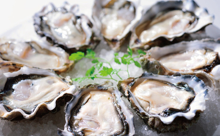 定期便 6ヶ月 北海道 厚岸産 牡蠣 3L 20個 と L 20個 ひと月あたり40個お届け (各回40個×6ヶ月分,合計240個) 殻付き 生食 かき カキ 魚貝類 生牡蠣 マルえもん