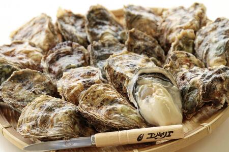 4ヵ月定期便 厚岸産牡蠣 3種食べつくしセット ブランド牡蠣