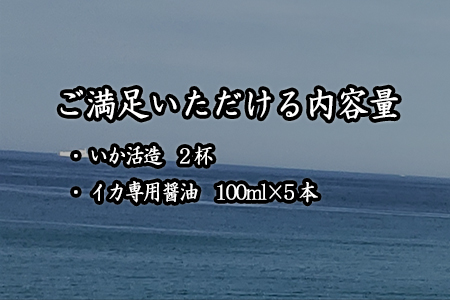 オススメ！いかの食べ尽くしセット いか活造り2杯 醤油5本 いかしゅうまい2箱 一夜干し5枚 いかネギ天16個 コラボ