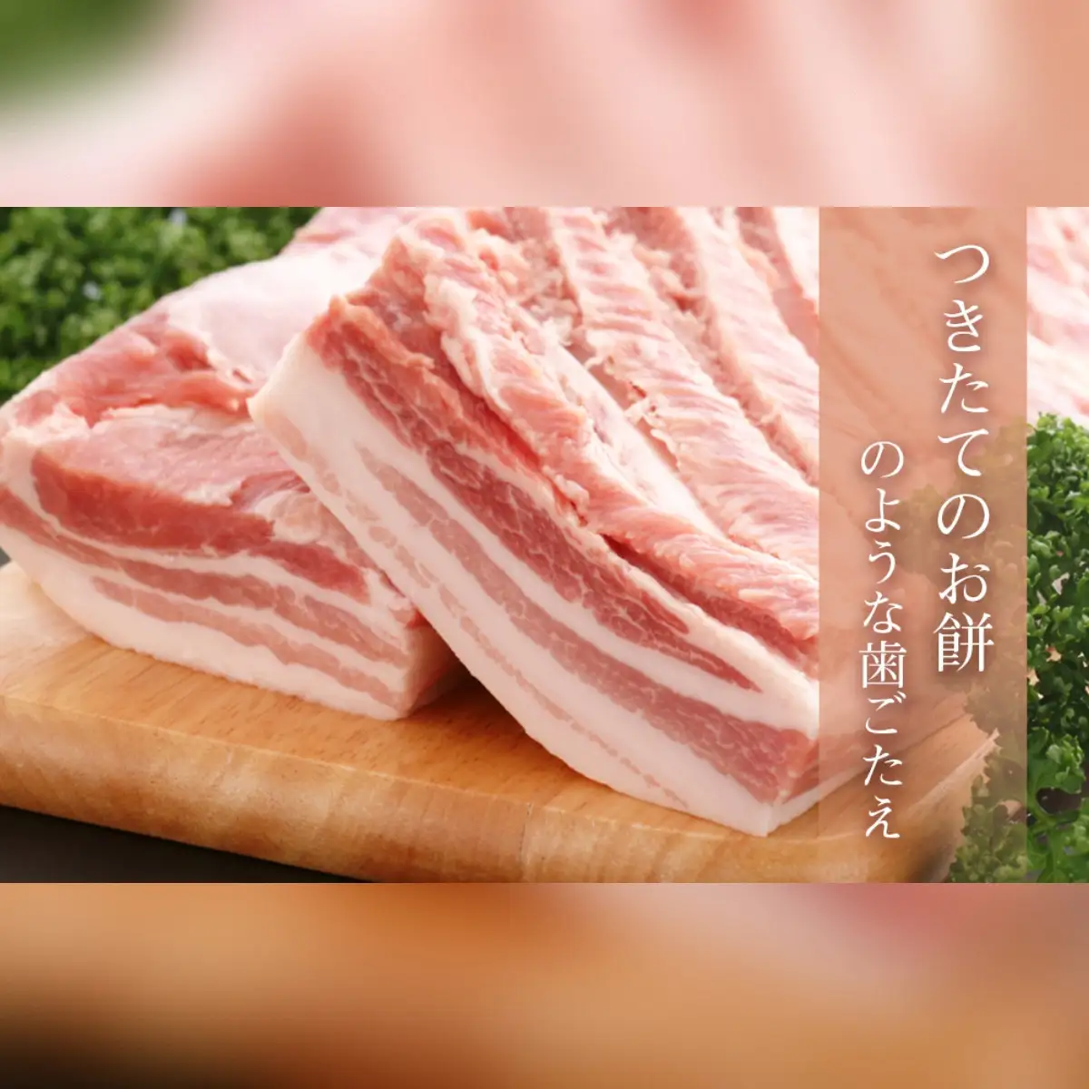 越後もちぶた焼肉セット｜もちぶた