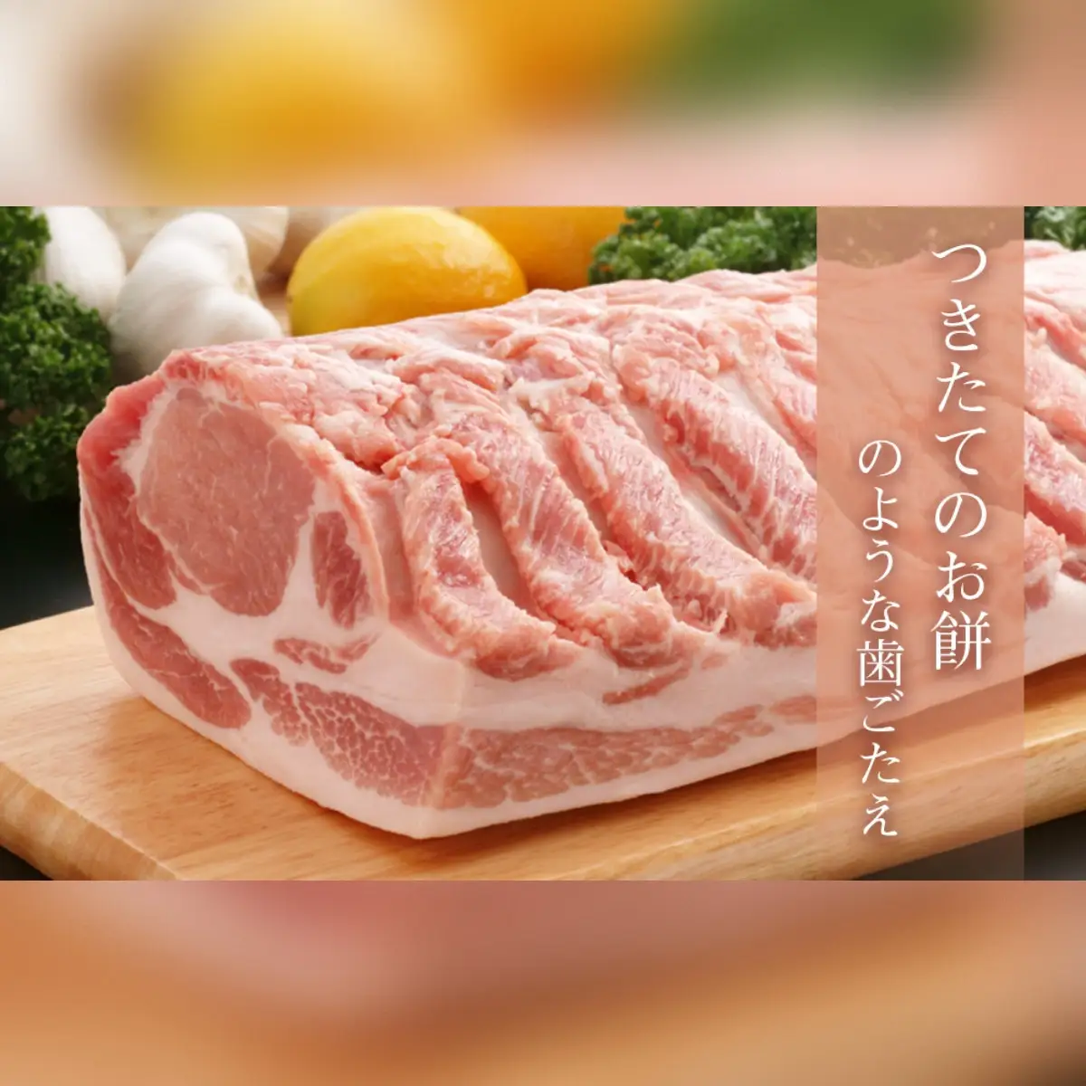 越後もちぶたしゃぶしゃぶセット｜もちぶた