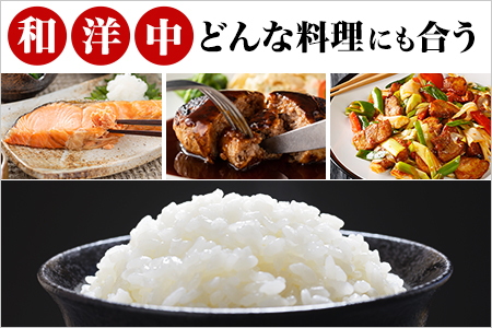 【無洗米】ヒノヒカリ５kg《マイスターセレクト》 086-B739