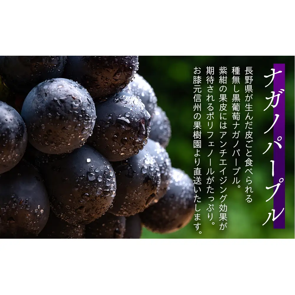 ぶどう 皮ごと食べられる 黒ぶどう ナガノパープル 粒パック 約2kg フルーツ 果物