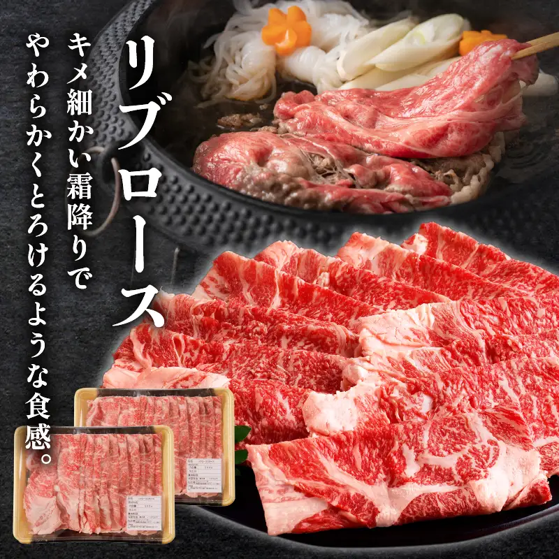 月数量限定≪訳あり≫黒毛和牛肩ロース＆リブローススライスセット(合計1kg) 肉 牛 牛肉 国産_T025-0025