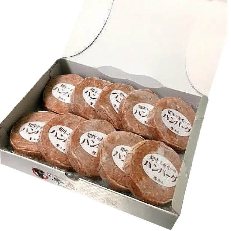和牛 × アグー豚 入り ハンバーグ 10個 入り 真空パック 沖縄県産 牛肉 豚肉 あぐー豚 幻の豚 冷凍 小分け 120g ×10個 大容量 牛肉ハンバーグ 豚肉ハンバーグ 大きめ 合挽き 肉 加工食品 鉄板焼き 簡単調理 子供 お肉 専門店 牛庵 沖縄 糸満市10000円
