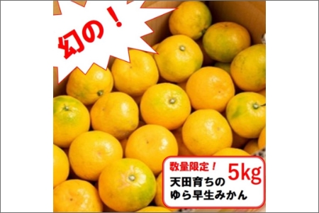 【0771-3】希少！天田で育ったゆら早生みかん（紀州和歌山）A級5kg