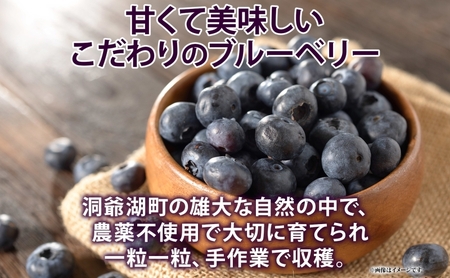 訳あり ブルーベリー 800g 冷凍 フルーツ ブルーベリー