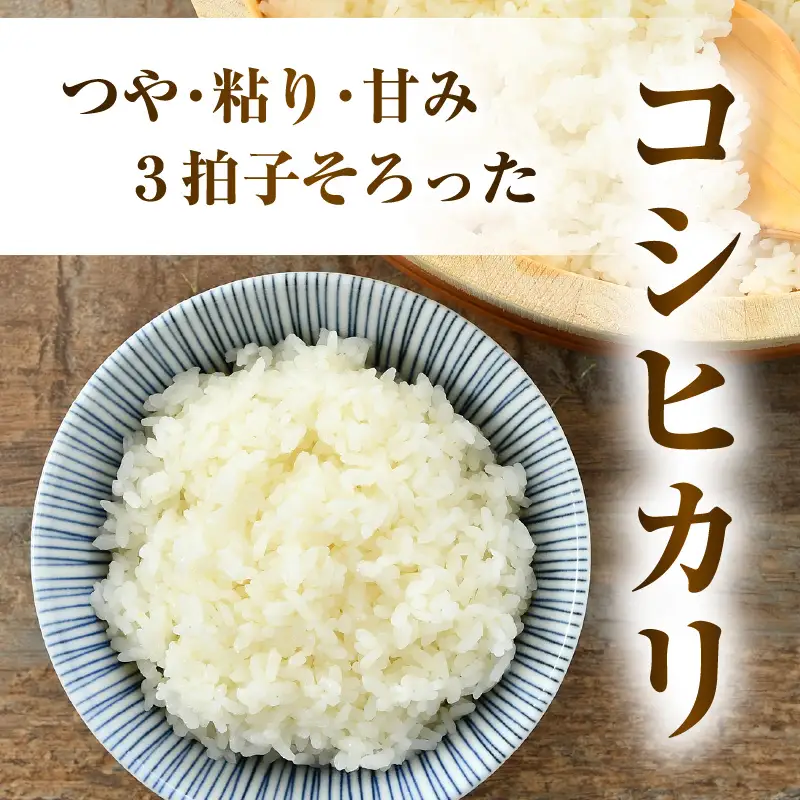 【先行予約】【令和8年産】 お米・味噌セット コシヒカリ 10kg 無洗米（5kg×2袋）保存料、着色料、不使用！自家製 青大豆味噌 1kg（500g×2袋） / 北陸 福井県産 あわら市 ブランド米 白米 お米 コメ 特別栽培米 特栽米 みそ 調味料 ※2026年9月下旬以降順次発送 [aw056-b003]
