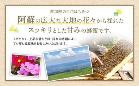 純粋 百花はちみつ 合計2kg とんがりポリ容器 プッシュボトル ヨーロピアンセレクション蜂蜜 ライチ蜂蜜