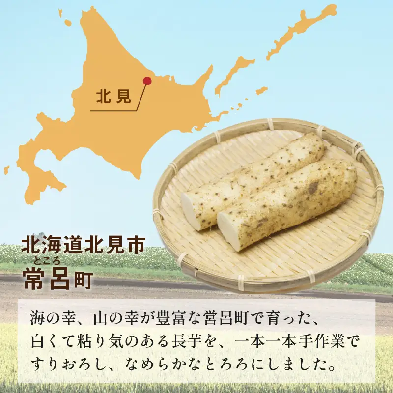ところのとろろ 3個入り ( 長芋 長いも すりおろし 手作業 数量限定 国産 とろろ蕎麦 ご飯 常呂 )【121-0018】