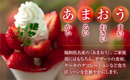 いちご あまおう 冬 2パック いちご