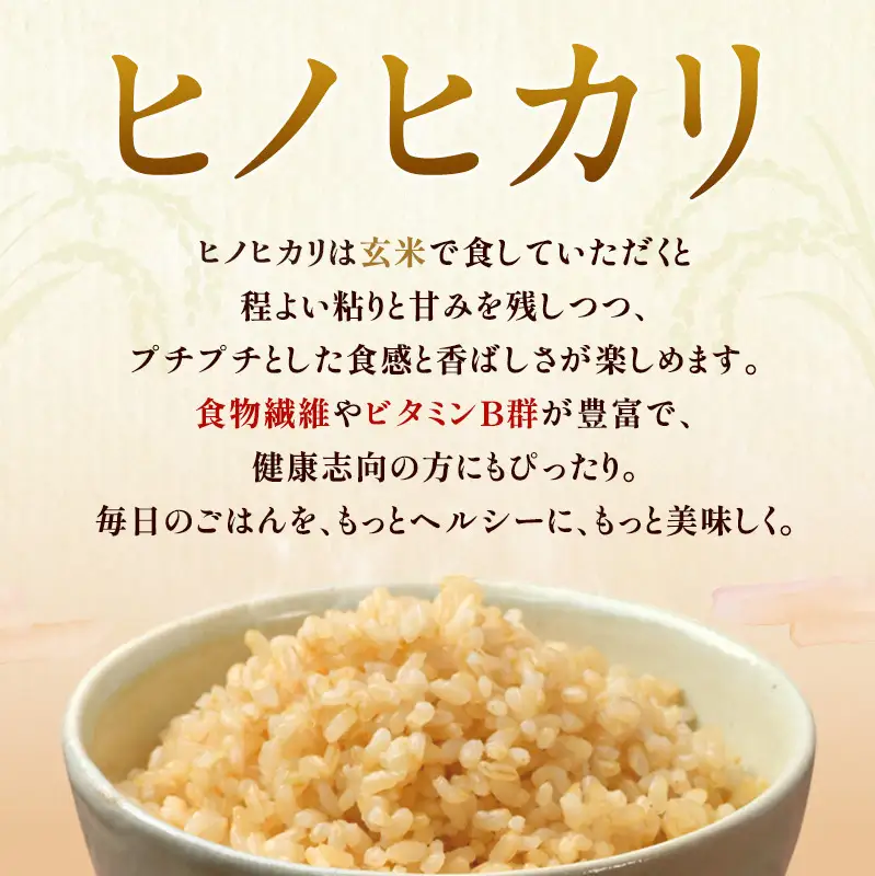 米 令和8年産 神大のおこめ（特別栽培米ヒノヒカリ）玄米30kg お米