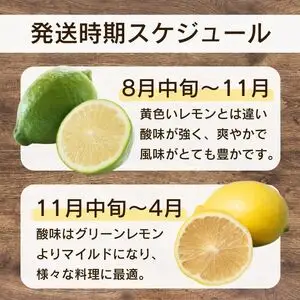 訳あり レモン 1kg 愛媛県 愛南町 みかん職人武田屋【レモン】