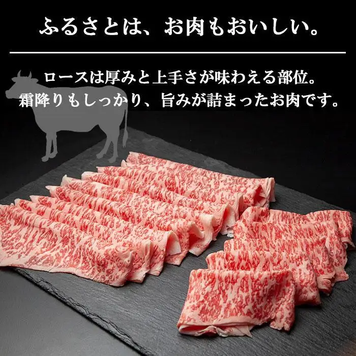 【無地熨斗】新潟和牛 南魚沼産 にいがた 黒毛和牛 ロース スライス 500ｇ 新潟県 南魚沼市｜贈答