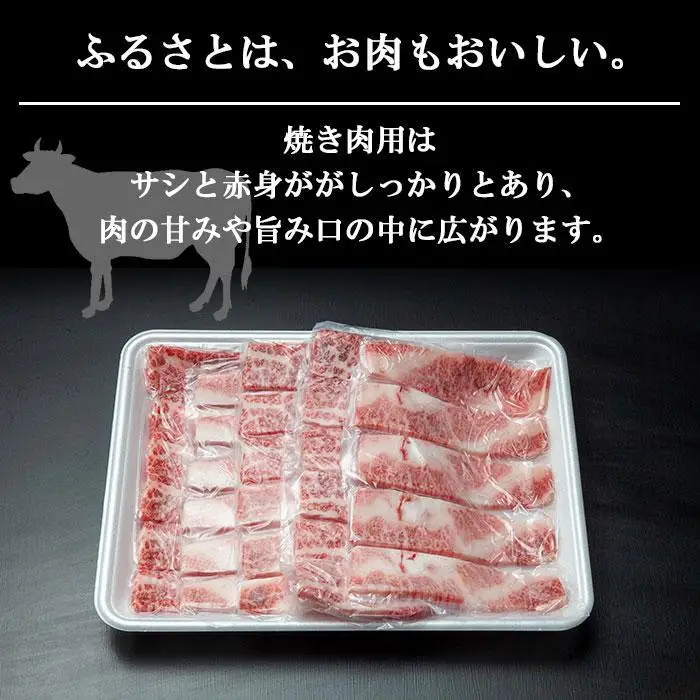 【無地熨斗】新潟和牛 南魚沼産 にいがた 黒毛和牛 焼き肉用 500ｇ 新潟県 南魚沼市｜贈答