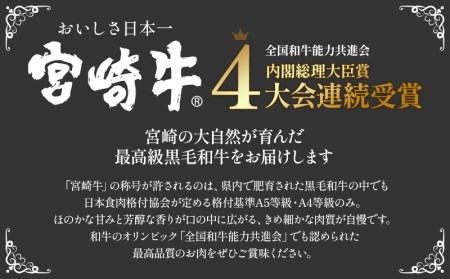 宮崎牛サーロインステーキ(2枚セット)　肉 牛 牛肉