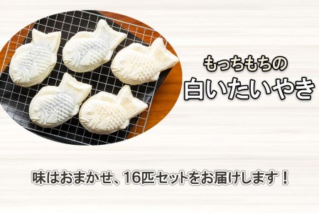 もちもち 白い たいやき 16匹 セット