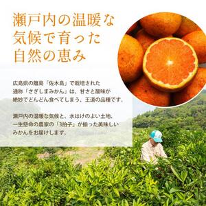 みかん 柑橘【先行受付】【2027年3月以降発送】甘さ抜群しらぬい！デコちゃん【デコポンと同品種】＜約7kg＞ 広島 三原 佐木島 鷺島みかんじま フルーツ 果物 産地直送 人気 濃厚 小玉 大玉 017028