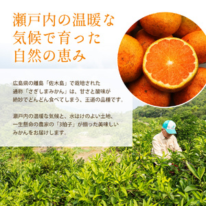 みかん 柑橘【先行受付】【2026年10月中旬以降発送】 甘さと酸味が絶妙！極早生 みかん 約7kg 三原 佐木島 017013