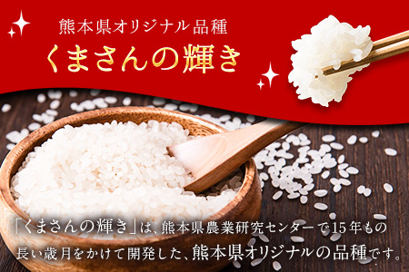 令和7年産 矢護川清流そだち(くまさんの輝き) 5kg 大津町矢護川おいしい米作り研究会 お米 熊本県 大津町《60日以内に出荷予定(土日祝除く)》