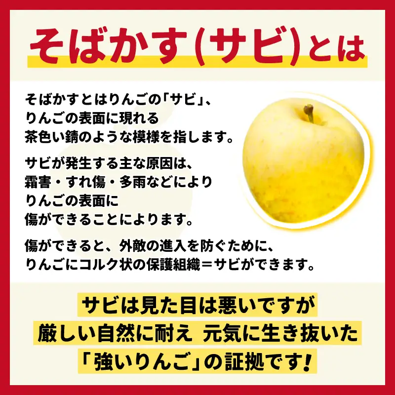 【先行予約】自家用 りんご そばかす「冬恋」 (AI023)りんご