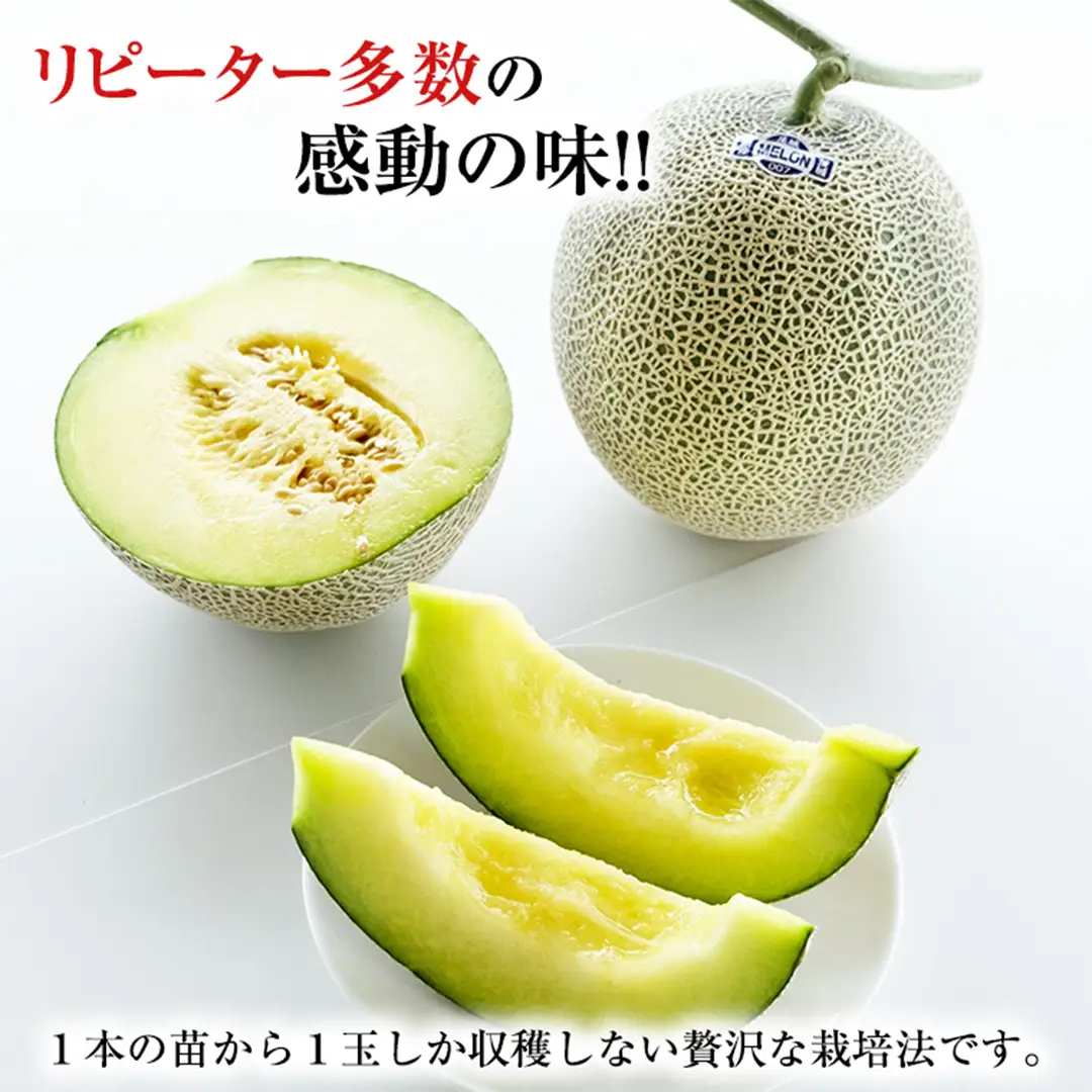 【2026年8月下旬発送開始】 季節 限定 ！ 甘さ満点 特大 アールスメロン 1個 箱 果物 フルーツ 農家直送 産直 青肉メロン 特産品 マスクメロン メロン くだもの 茨城 [BC005sa]