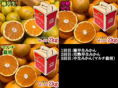 【定期便】【ちょっと傷あり 約2kg×3回コース】有田みかん・食べくらべ3種【南泰園】 ※着日指定不可_ZF6301n