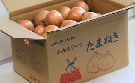 玉ねぎ 北海道産 野菜 玉ねぎ【20kg(10kg×2箱)】