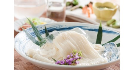 小川の稲庭うどん 200g×20袋(2ケース) 稲庭うどん [D0501]