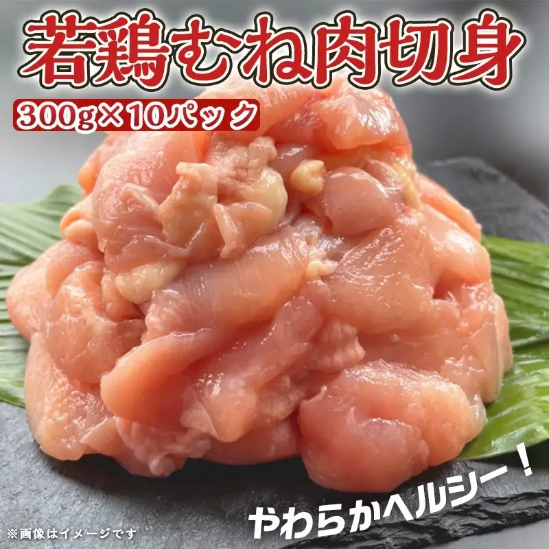 宮崎県産若鶏むね肉切身3kg〔AA-9228〕_(都城市) 宮崎県産鶏 むね肉切身 300g×10パック 若鶏むね肉 やわらかくヘルシー カット済