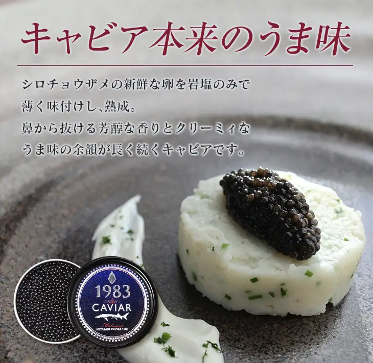 数量限定 宮崎キャビア1983 100g 魚卵 魚介 国産 食品 加工品 黒いダイヤ シロチョウザメ 高級 贅沢 三大珍味 おつまみ ご褒美 記念日 お祝い パーティー オードブル ギフト 贈り物 プレゼント おすすめ 宮崎県 日南市 送料無料_U2-25
