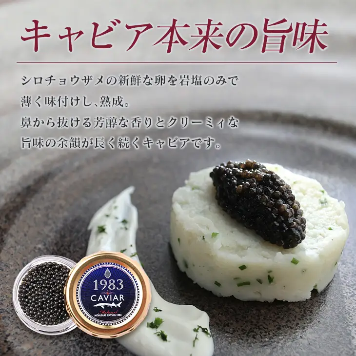 数量限定 宮崎キャビア1983 12g 魚卵 魚介 魚貝 国産 世界三大珍味 黒いダイヤ 贅沢 高級食材 上質 ご褒美 お祝い 記念日 加工品 食品 お土産 おすすめ 化粧箱 ギフト プレゼント 贈り物 贈答 パーティー おつまみ お取り寄せ グルメ 宮崎県 日南市 送料無料_ED9-25