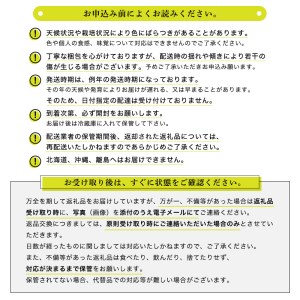 【数量限定】【コロナ支援】〈令和2年産〉茨城県産コシヒカリ玄米30㎏